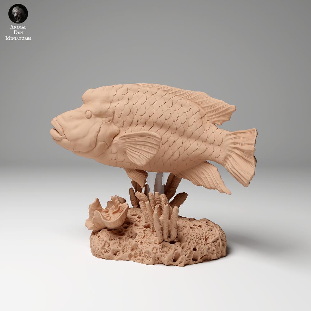 Produktfoto Tierfigur Animal Den Miniatures 1: Meerestier Tierfigur: Napoleon-Lippfisch (24_06_07)