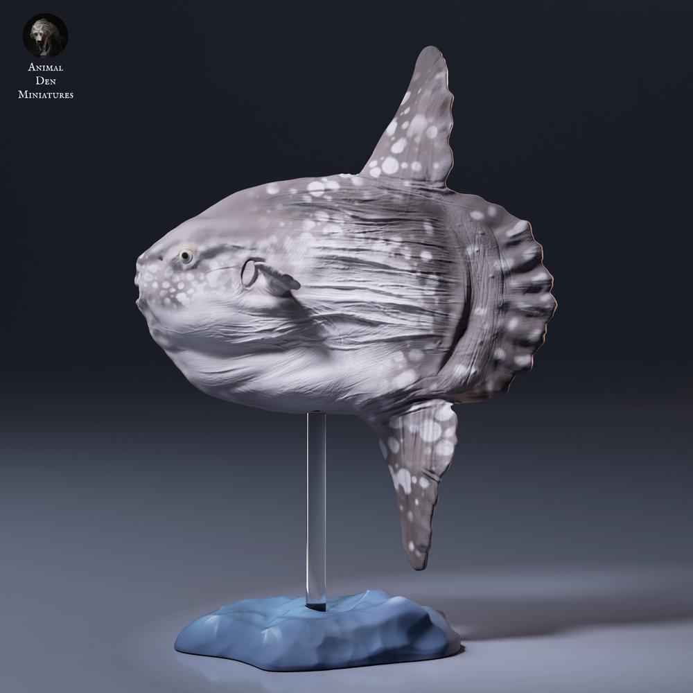 Product photo animal figurine Animal Den Miniatures 7: sea creature figurine: ocean sunfish (26_09_06)