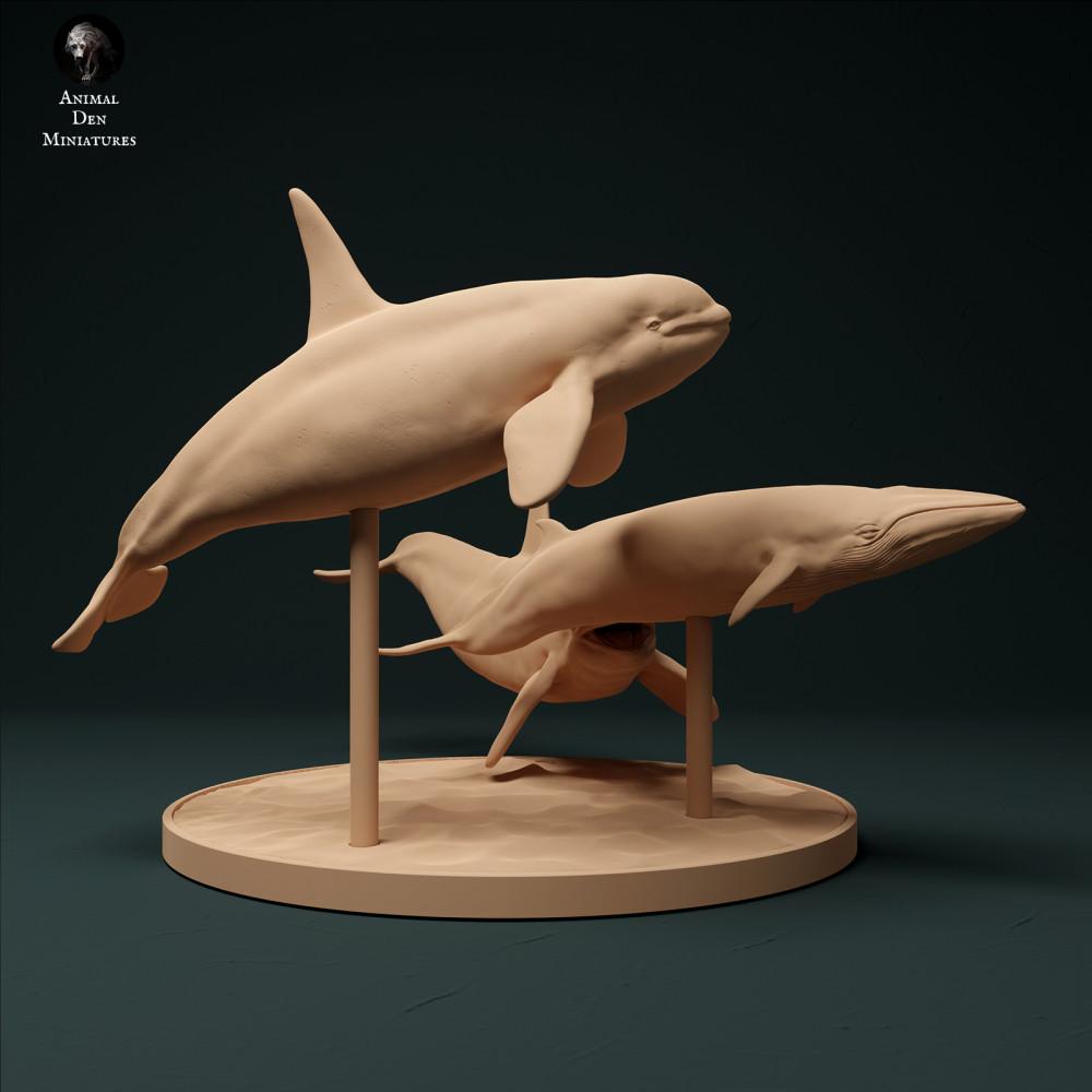 Product photo animal figure Animal Den Miniatures 1: Marine animal figure: North Atlantic Type 2 killer whales - hunting minke whale (23_12_10)