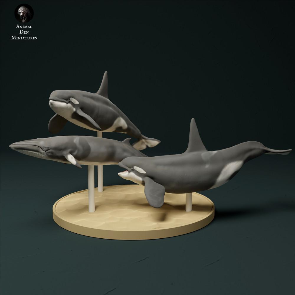 Product photo animal figure Animal Den Miniatures 2: Marine animal figure: North Atlantic Type 2 killer whales - hunting minke whale (23_12_10)