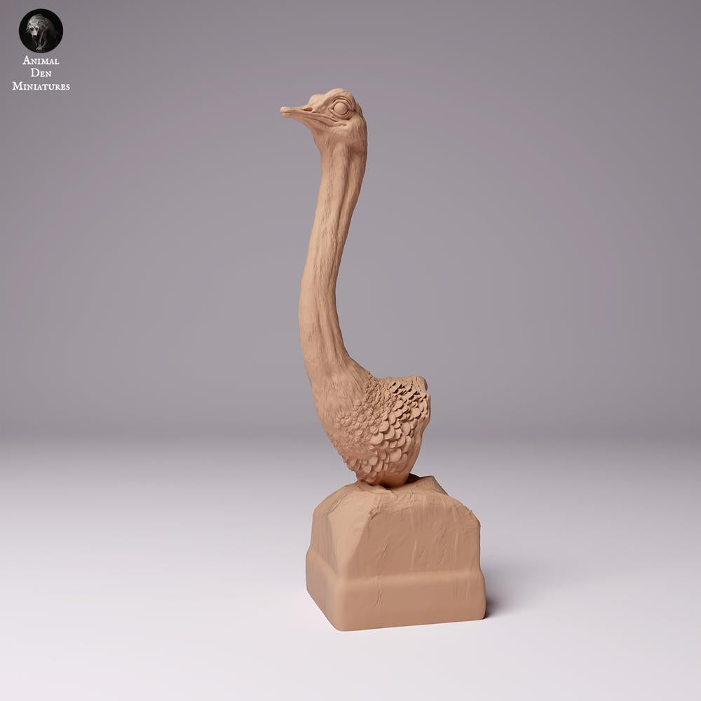 Product photo animal figure Animal Den Miniatures 0: Wildlife animal figure: North African ostrich - bust (24_07_10)