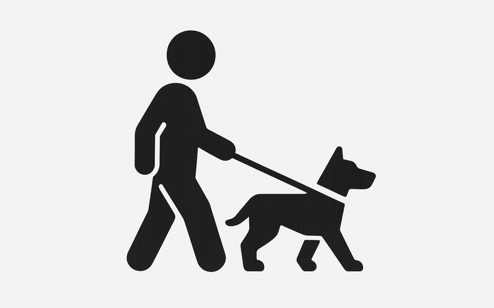 Passersby & City Life