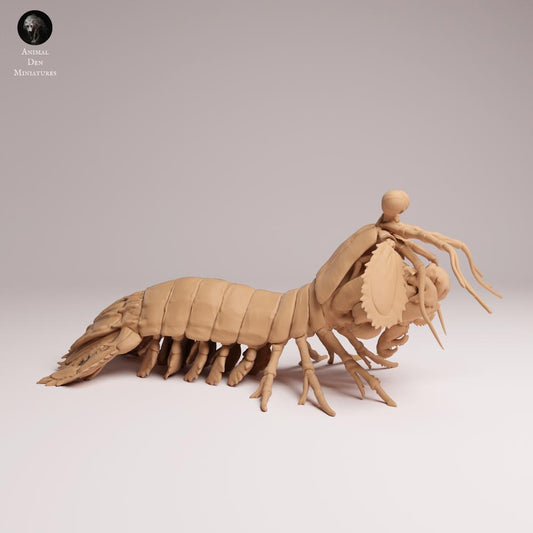 Product photo 0: Sea creature animal figure: Peacock mantis shrimp (25_10_02)