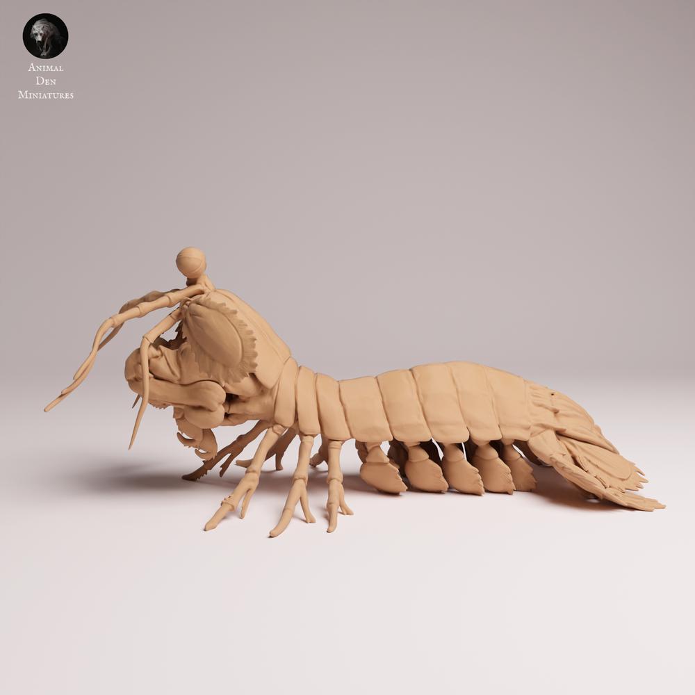Product photo 1: Marine animal figure: Peacock mantis shrimp (25_10_02)