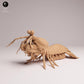 Product photo 2: Marine animal figure: Peacock mantis shrimp (25_10_02)