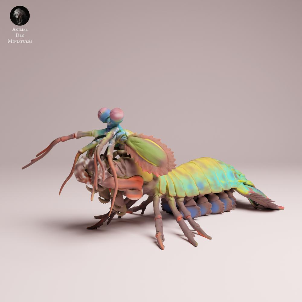 Product photo 3: Marine animal figure: Peacock mantis shrimp (25_10_02)