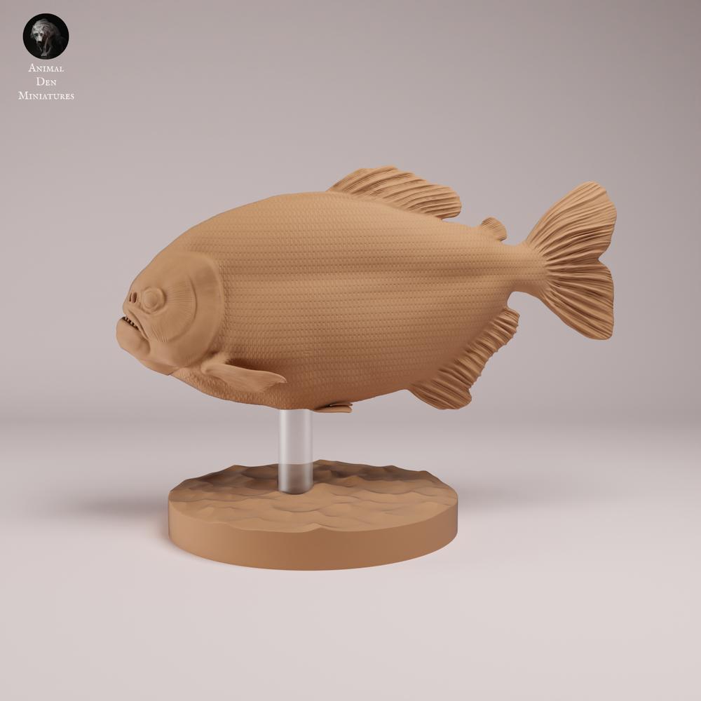 Product photo animal figure Animal Den Miniatures 0: Fish animal figure: Red Piranha with red belly (26_08_01)