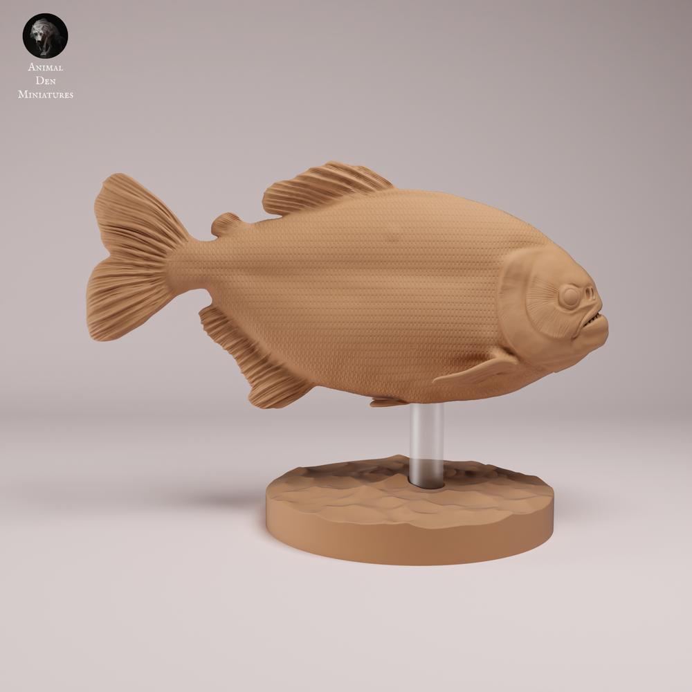 Product photo animal figure Animal Den Miniatures 1: Fish animal figure: Red Piranha with red belly (26_08_01)
