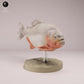 Product photo animal figure Animal Den Miniatures 3: Fish animal figure: red piranha with red belly (26_08_01)