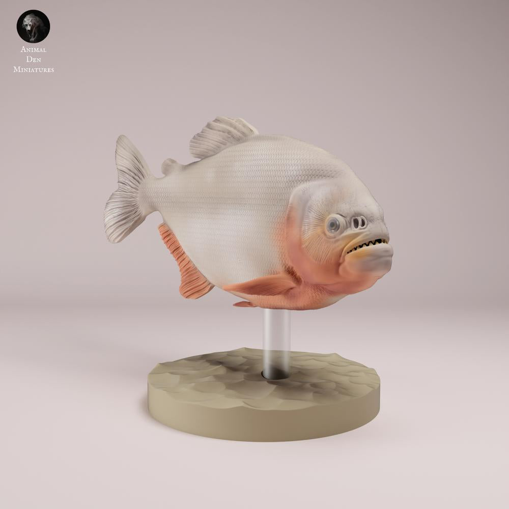 Product photo animal figure Animal Den Miniatures 3: Fish animal figure: red piranha with red belly (26_08_01)