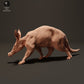 Produktfoto Tier Figur Diorama, Modellbau: 0: Erdferkel: Tiere aus Afrika