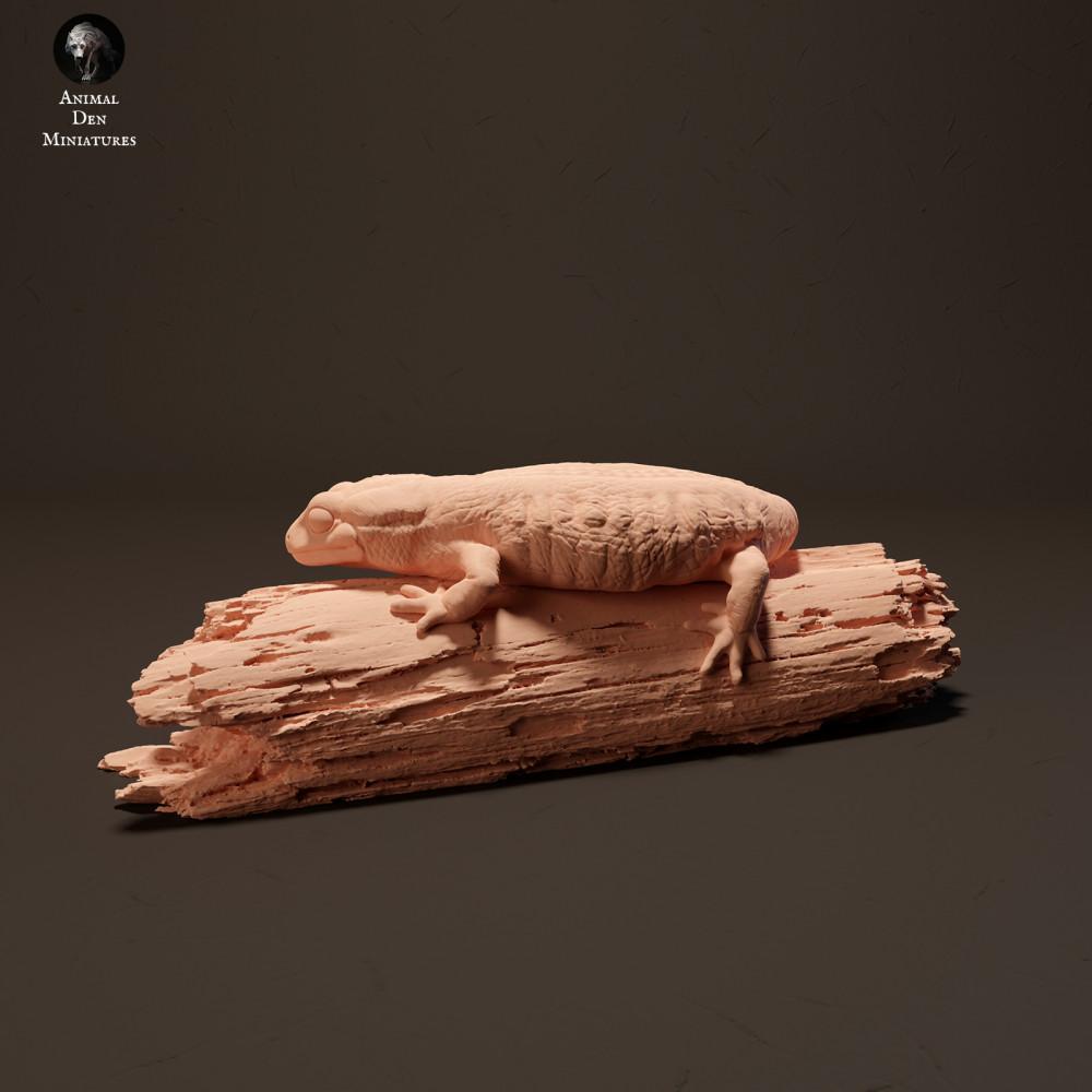 Produktfoto Tierfigur Animal Den Miniatures 1: Waldtier Tierfigur: Feuersalamander (23_10_15)