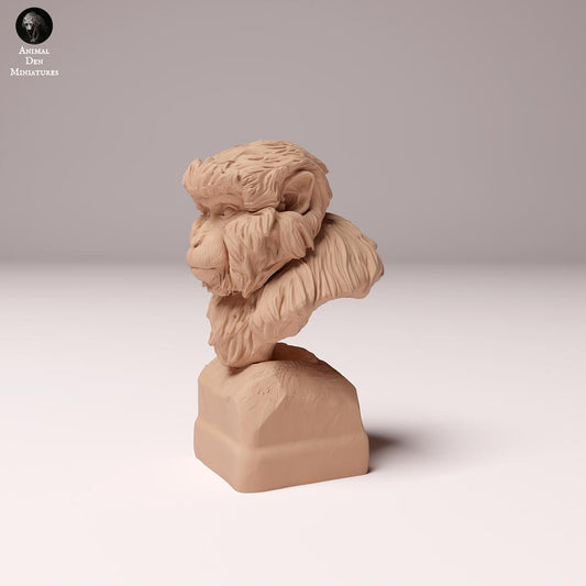 Product photo animal figure Animal Den Miniatures 0: Wild animal figure: Japanese macaque - Bust (24_10_11)