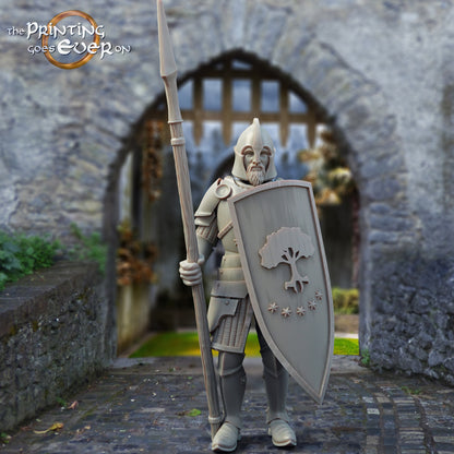 Product photo medieval historical figure 75mm Scale The Printing Goes Ever On (TPGEO) 0: Medieval knight figures spear fighters C warriors of Gonthan