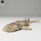 Product photo animal figure Animal Den Miniatures 2: Marine animal figure: Spotted Wobbegong Shark (24_06_04)