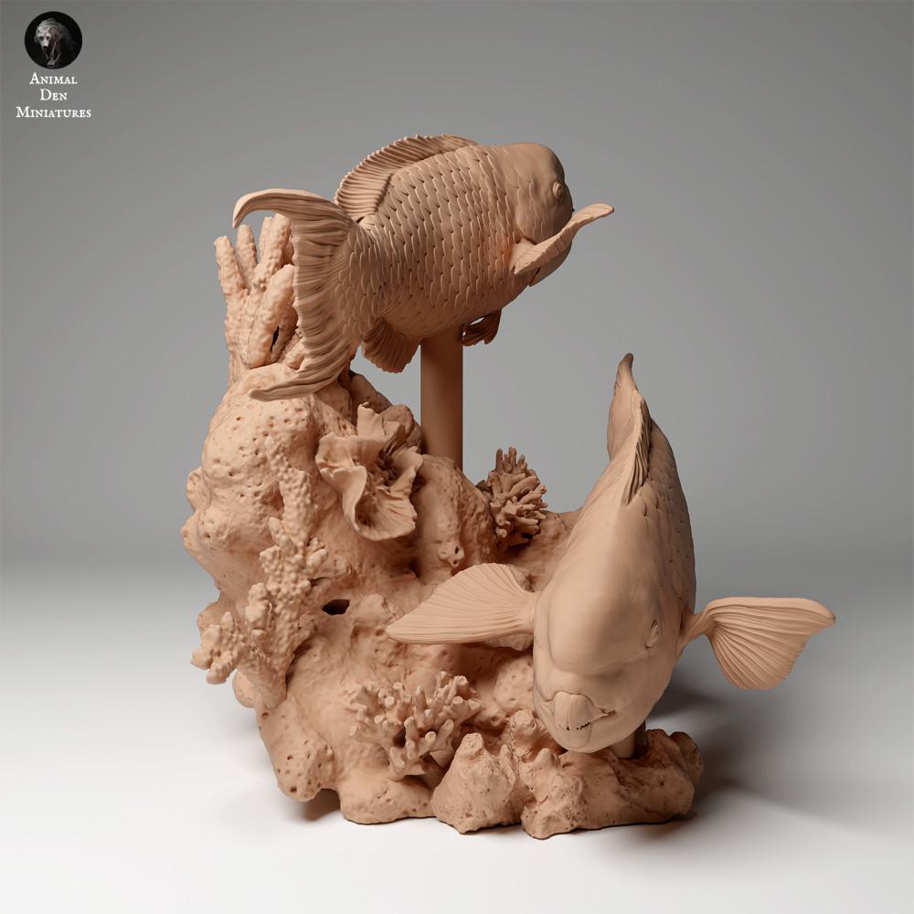 Product photo animal figure Animal Den Miniatures 0: Marine animal figure: Steephead Parrotfish (24_05_01)