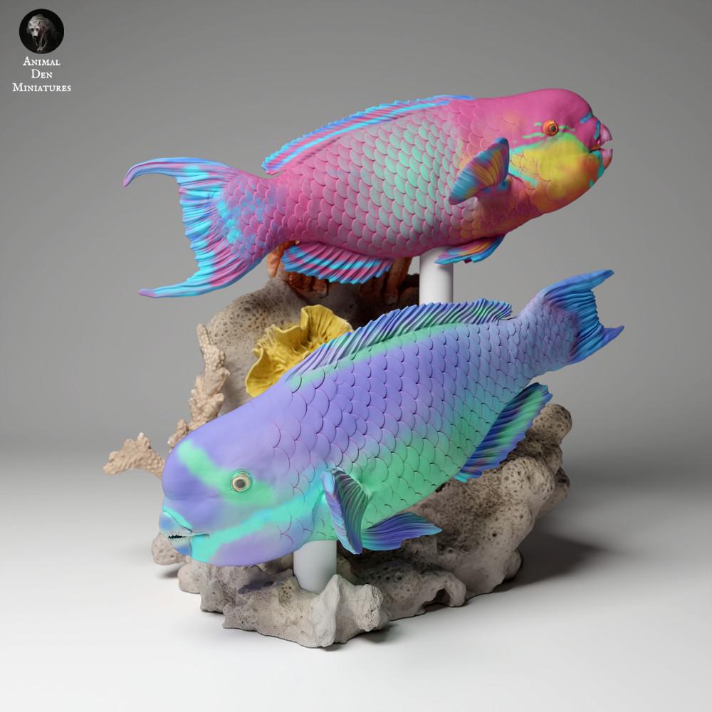 Product photo animal figure Animal Den Miniatures 2: Marine animal figure: Steephead Parrotfish (24_05_01)
