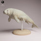 Product photo Tabletop 28mm Lord of the Print (LotP) 3: Marine Mammal Animal Figure: Steller's Sea Cow - with Calf (26_04_06)