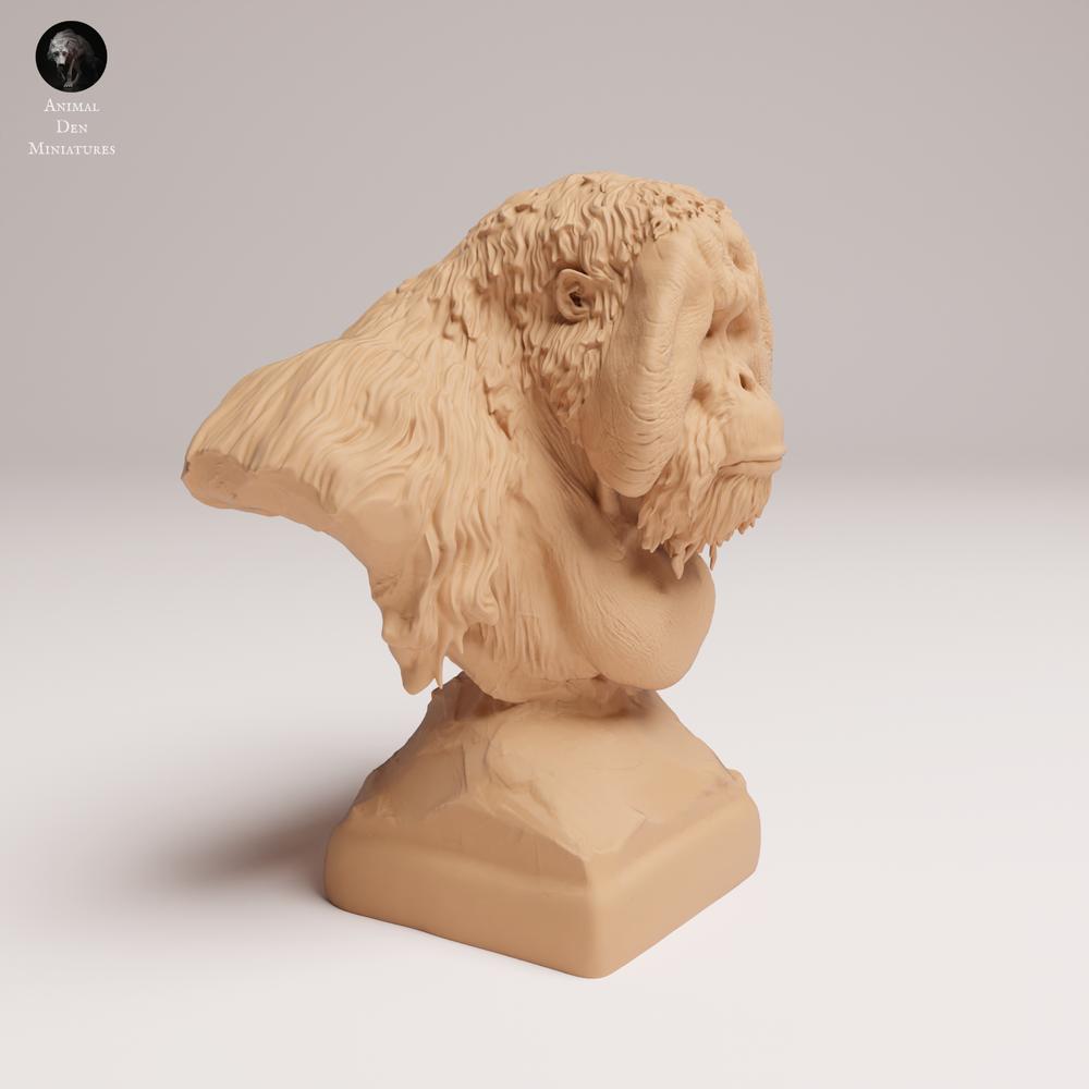 Product photo 0: Wild animal figure: Sumatran Orangutan - Bust (25_03_04)