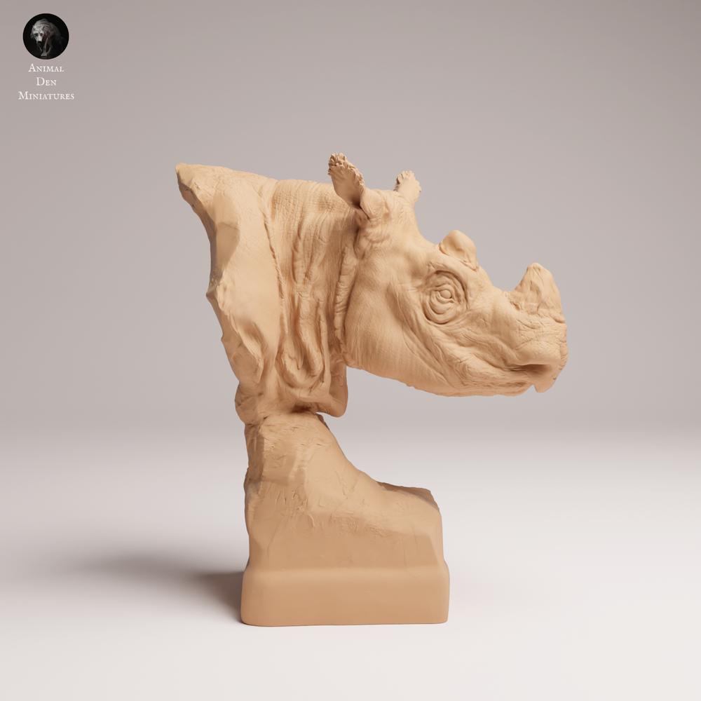 Product photo 1: Wild animal figure: Sumatra rhino male - Bust (25_03_10)