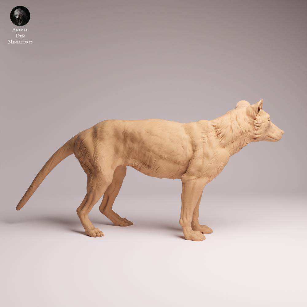 Product photo Tabletop 28mm Lord of the Print (LotP) 0: Wildlife animal figure: Thylacine (Tasmanian Tiger) - standing (26_04_10)