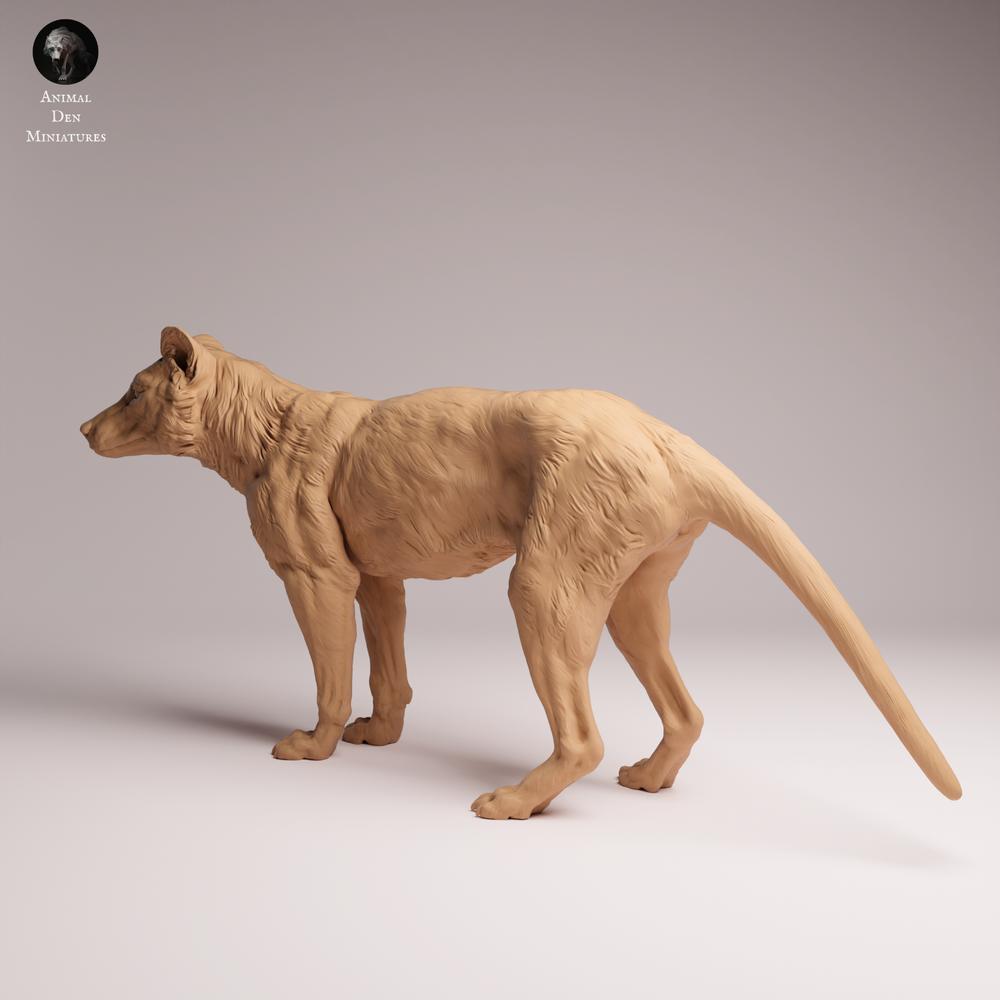 Product photo Tabletop 28mm Lord of the Print (LotP) 1: Wildlife animal figure: Thylacine (Tasmanian Tiger) - standing (26_04_10)