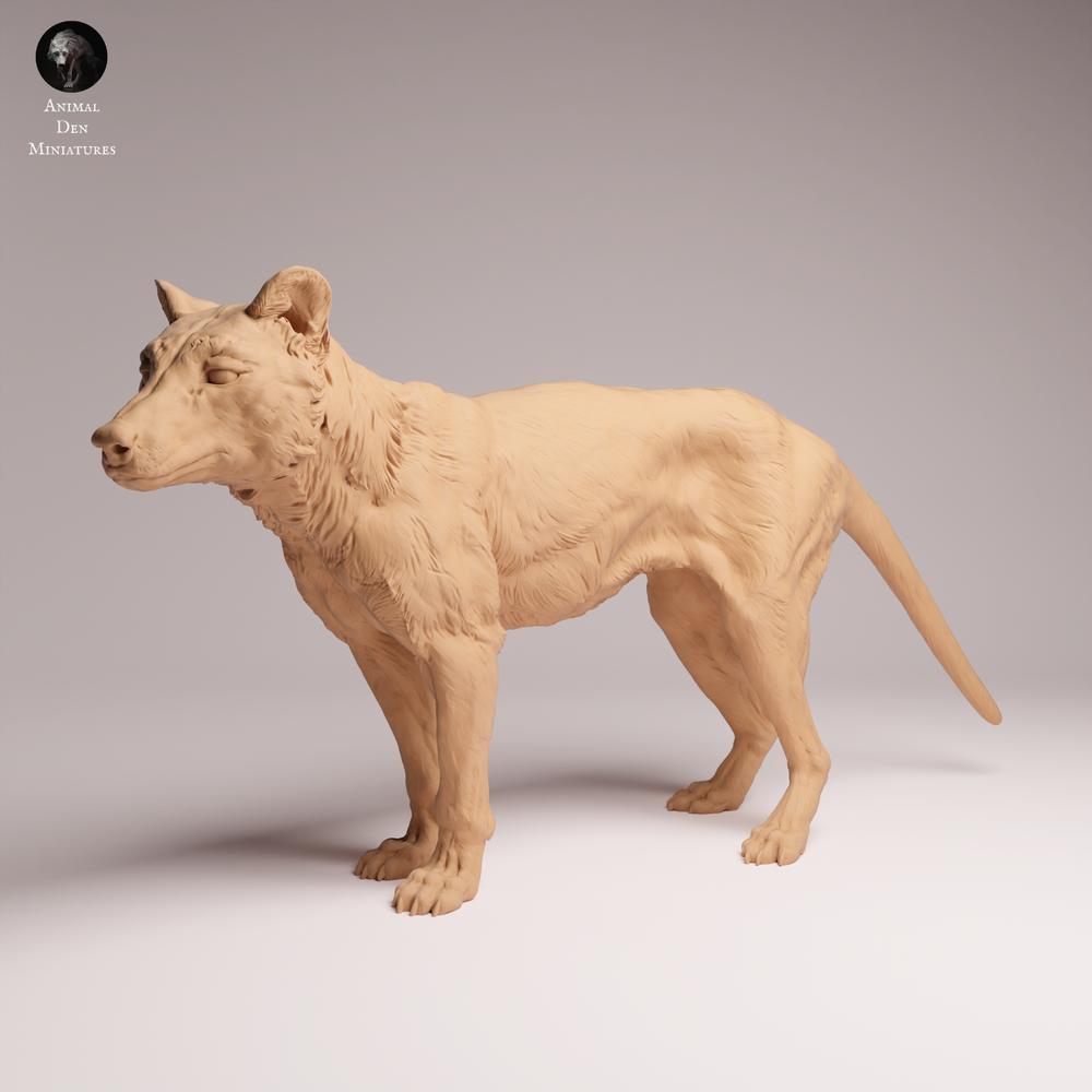 Product photo Tabletop 28mm Lord of the Print (LotP) 2: Wildlife animal figure: Thylacine (Tasmanian Tiger) - standing (26_04_10)