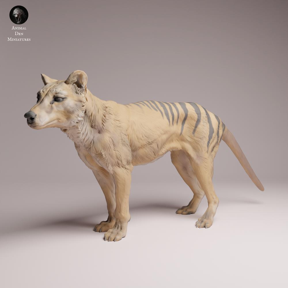 Product photo Tabletop 28mm Lord of the Print (LotP) 3: Wildlife animal figure: Thylacine (Tasmanian Tiger) - standing (26_04_10)