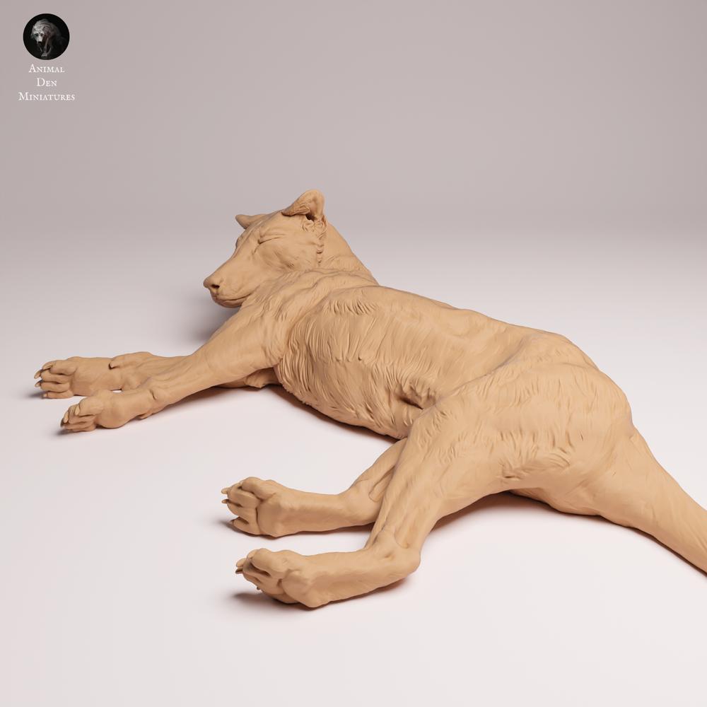 Product photo Tabletop 28mm Lord of the Print (LotP) 0: Wildlife animal figure: Tasmanian tiger - lying down (26_04_07)