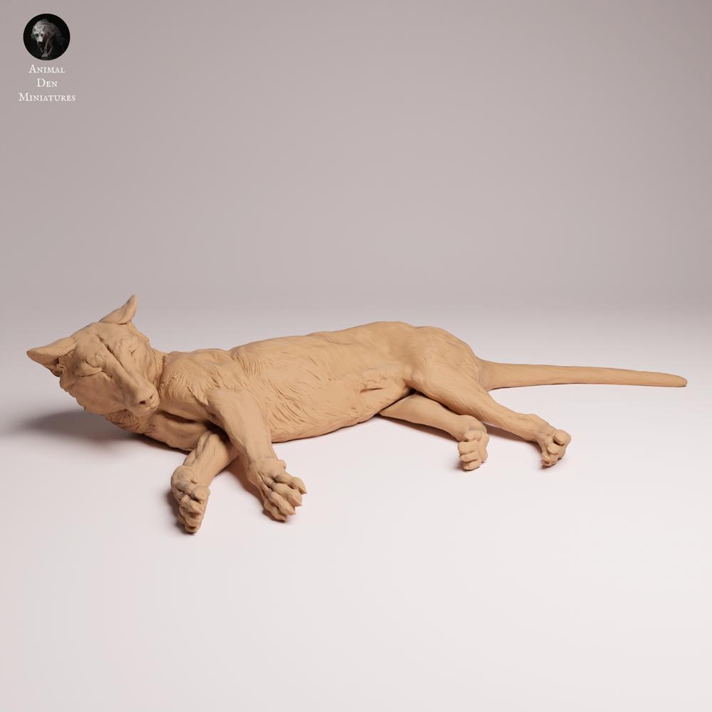 Product photo Tabletop 28mm Lord of the Print (LotP) 1: wildlife animal figure: Tasmanian tiger - lying down (26_04_07)