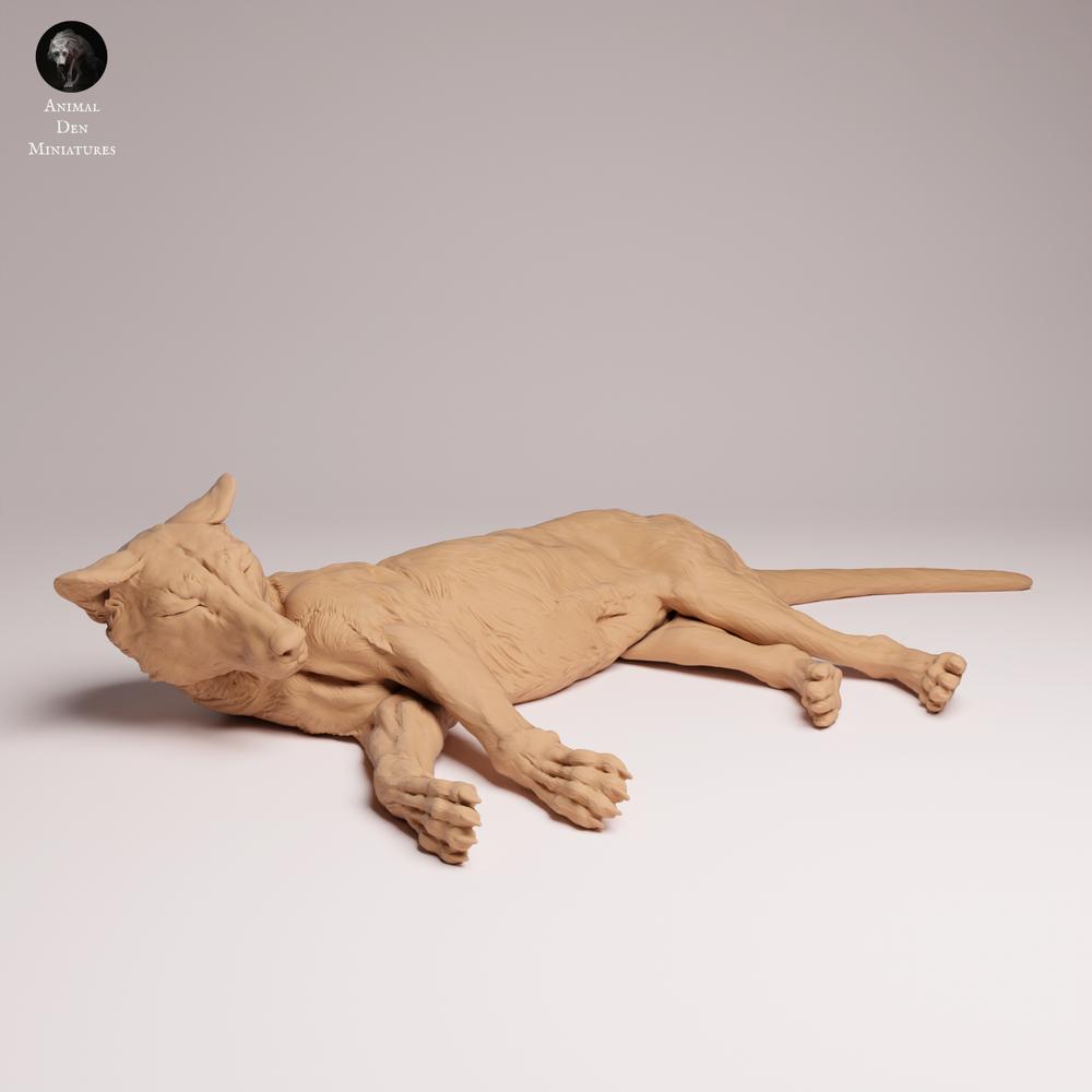 Product photo Tabletop 28mm Lord of the Print (LotP) 2: Wildlife animal figure: Tasmanian Tiger - lying down (26_04_07)