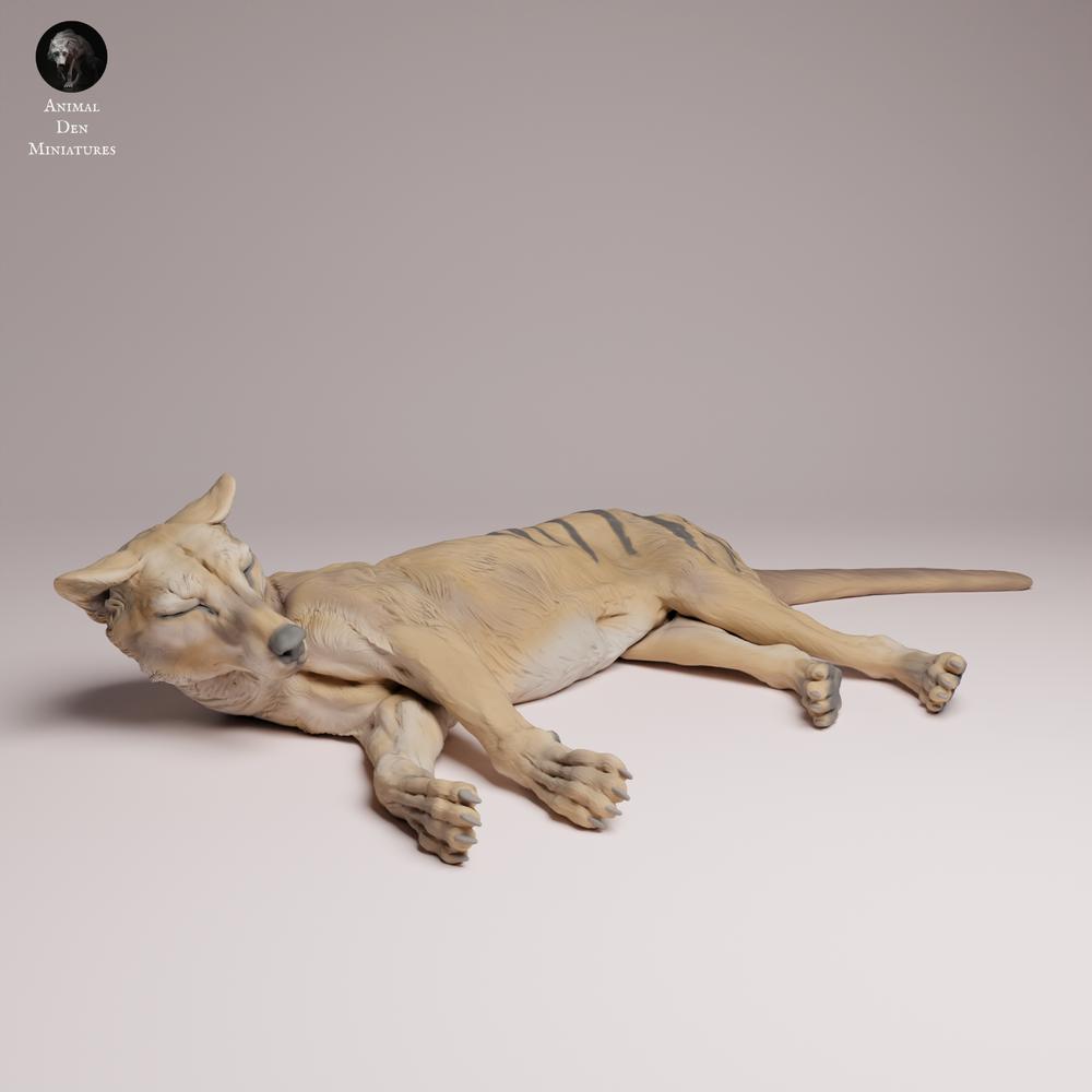 Product photo Tabletop 28mm Lord of the Print (LotP) 3: Wildlife animal figure: Tasmanian tiger - lying down (26_04_07)