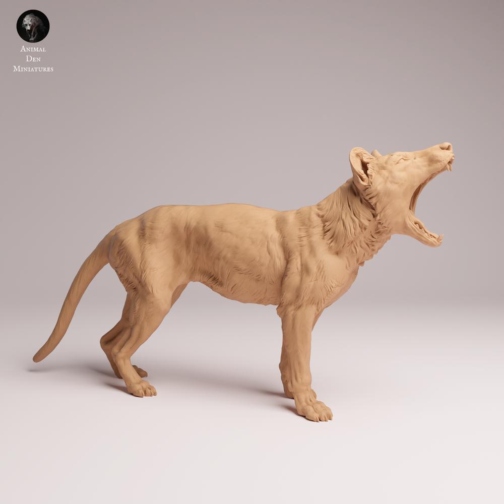 Product photo Tabletop 28mm Lord of the Print (LotP) 0: Wildlife animal figure: Thylacine (Tasmanian Tiger) - yawning (26_04_09)