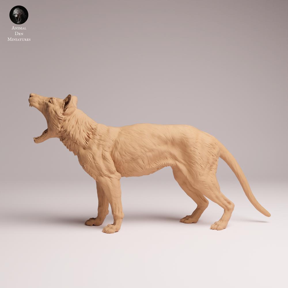 Product photo Tabletop 28mm Lord of the Print (LotP) 2: Wildlife animal figure: Thylacine (Tasmanian Tiger) - yawning (26_04_09)