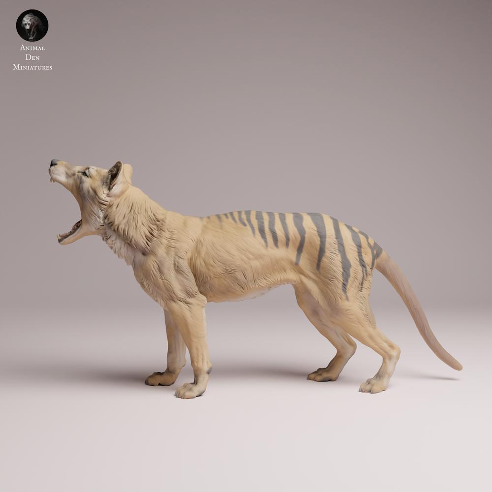 Product photo Tabletop 28mm Lord of the Print (LotP) 3: Wildlife animal figure: Thylacine (Tasmanian Tiger) - yawning (26_04_09)