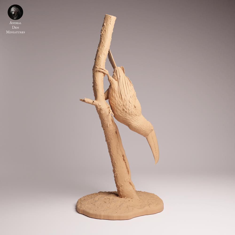 Product photo Tabletop 28mm Lord of the Print (LotP) 1: Bird Figure: Toko Toucan - perched on a branch