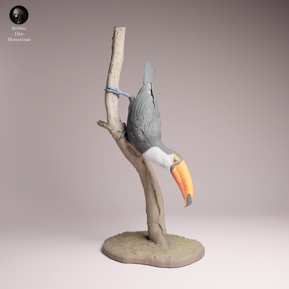 Product photo Tabletop 28mm Lord of the Print (LotP) 3: Bird figure: Toko-Toucan - perched on a branch