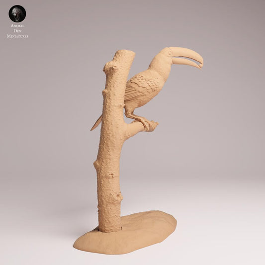 Product photo Tabletop 28mm Lord of the Print (LotP) 0: Jungle Animal Figure: Toko Toucan - feeding
