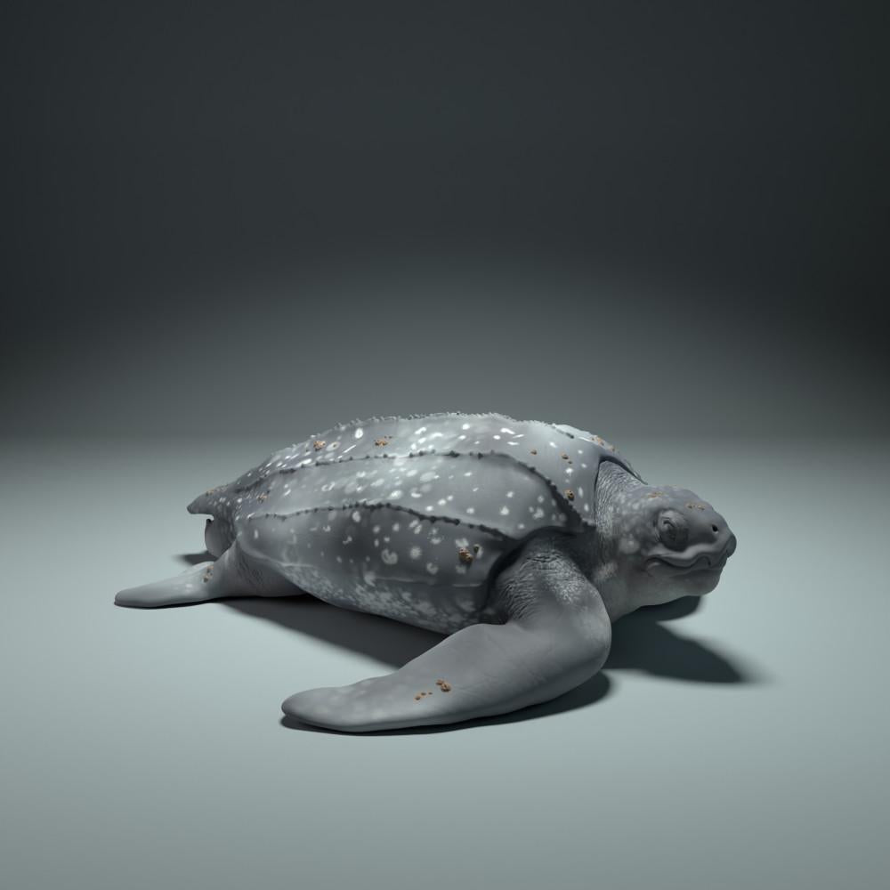 Product photo animal figure Animal Den Miniatures 0: Sea animal figure: Leatherback Turtle (22_09_01)