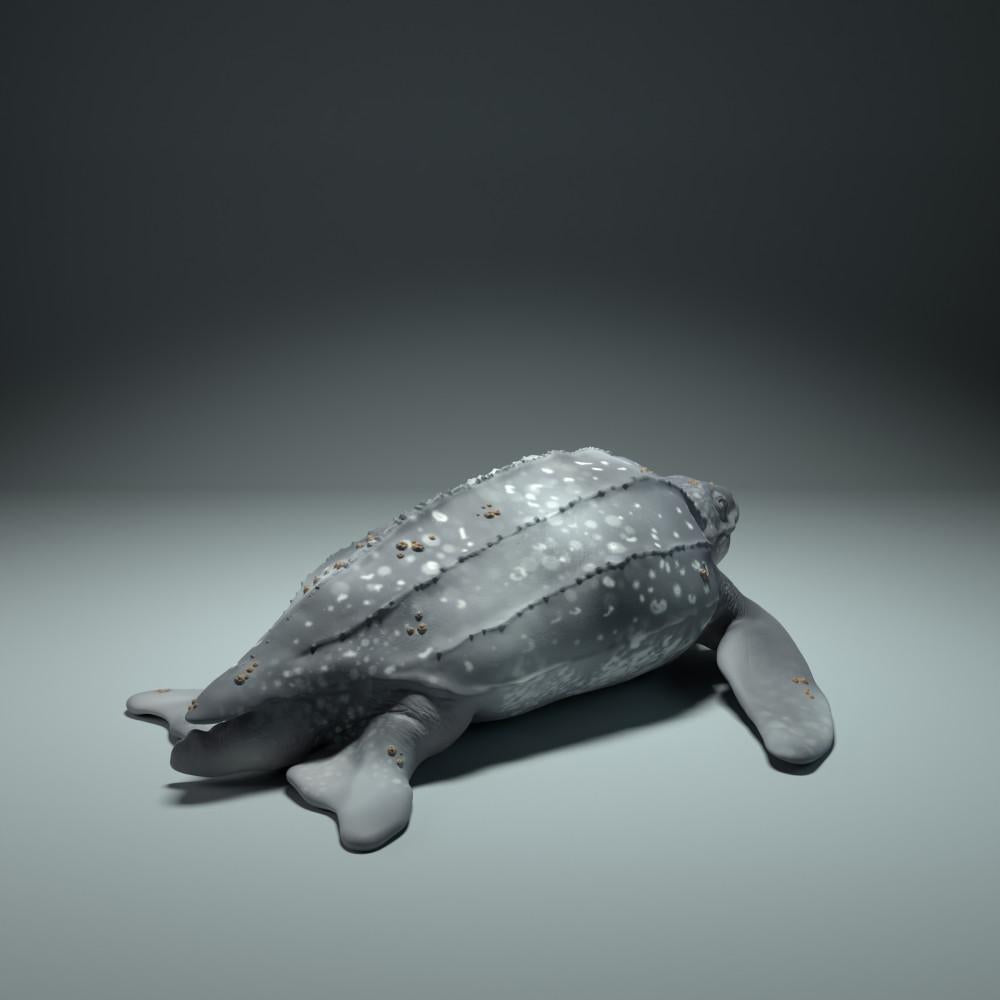 Product photo animal figure Animal Den Miniatures 1: Marine animal figure: Leatherback sea turtle (22_09_01)