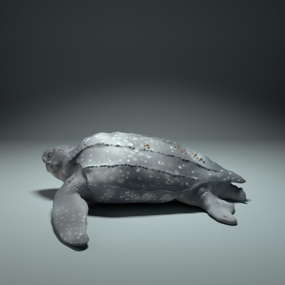 Product photo animal figure Animal Den Miniatures 2: Marine animal figure: Leatherback sea turtle (22_09_01)