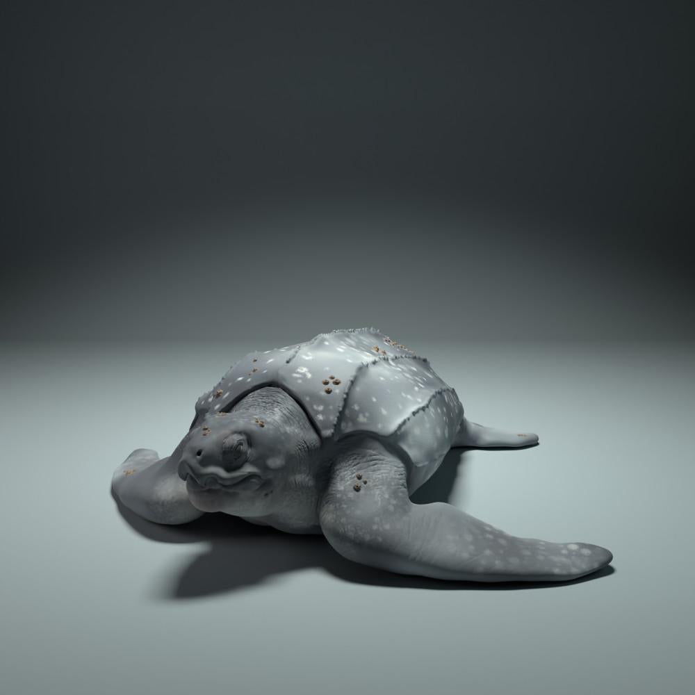 Product photo animal figure Animal Den Miniatures 3: sea animal figure: leatherback turtle (22_09_01)