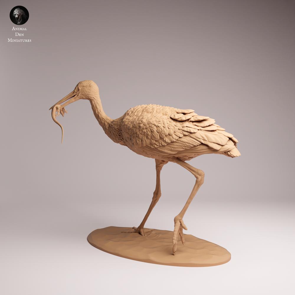 Product photo Tabletop 28mm Lord of the Print (LotP) 0: Bird animal figure: White Stork - feeding (26_07_05)