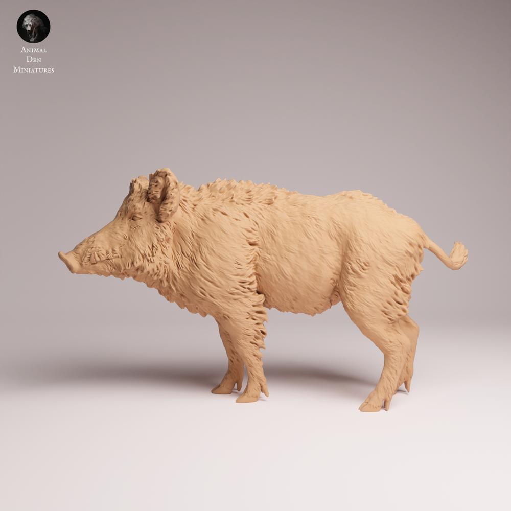 Product photo Tabletop 28mm Lord of the Print (LotP) 0: Wildlife animal figure: Wild Boar (26_07_08)