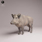 Product photo Tabletop 28mm Lord of the Print (LotP) 3: Wildlife animal figure: Wild boar (26_07_08)