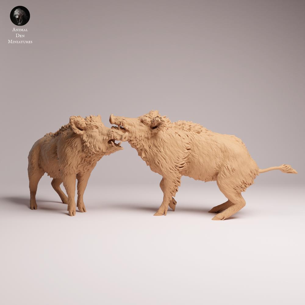 Product photo Tabletop 28mm Lord of the Print (LotP) 0: Wildlife animal figure: Wild boars - fighting (26_07_06)