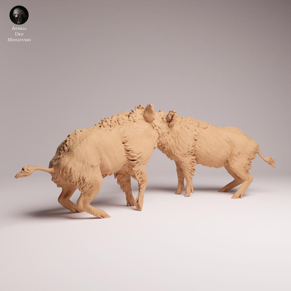 Product photo Tabletop 28mm Lord of the Print (LotP) 1: Wildlife animal figure: Wild boars - fighting (26_07_06)