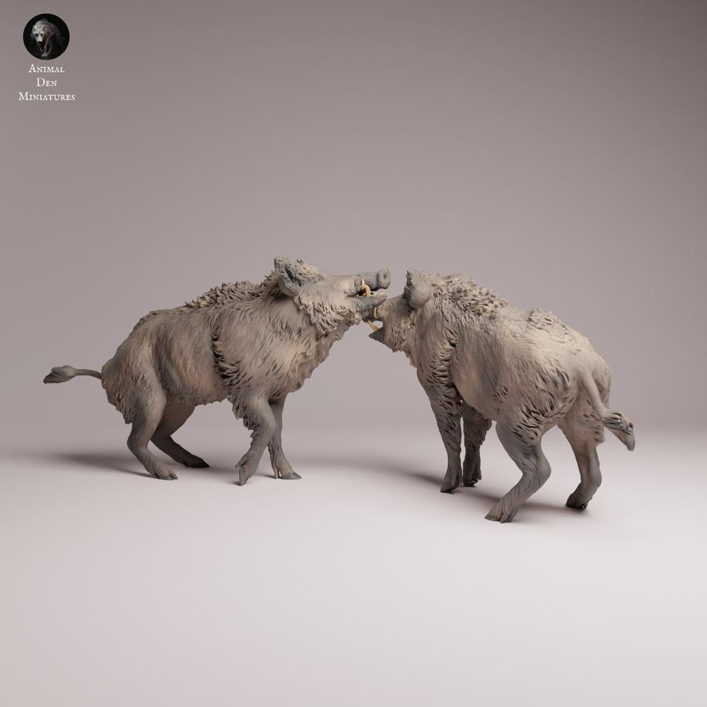Product photo Tabletop 28mm Lord of the Print (LotP) 3: Wildlife animal figure: fighting wild boars (26_07_06)